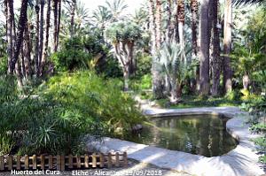 19 ELCHE HUERTO DEL CURA (31)